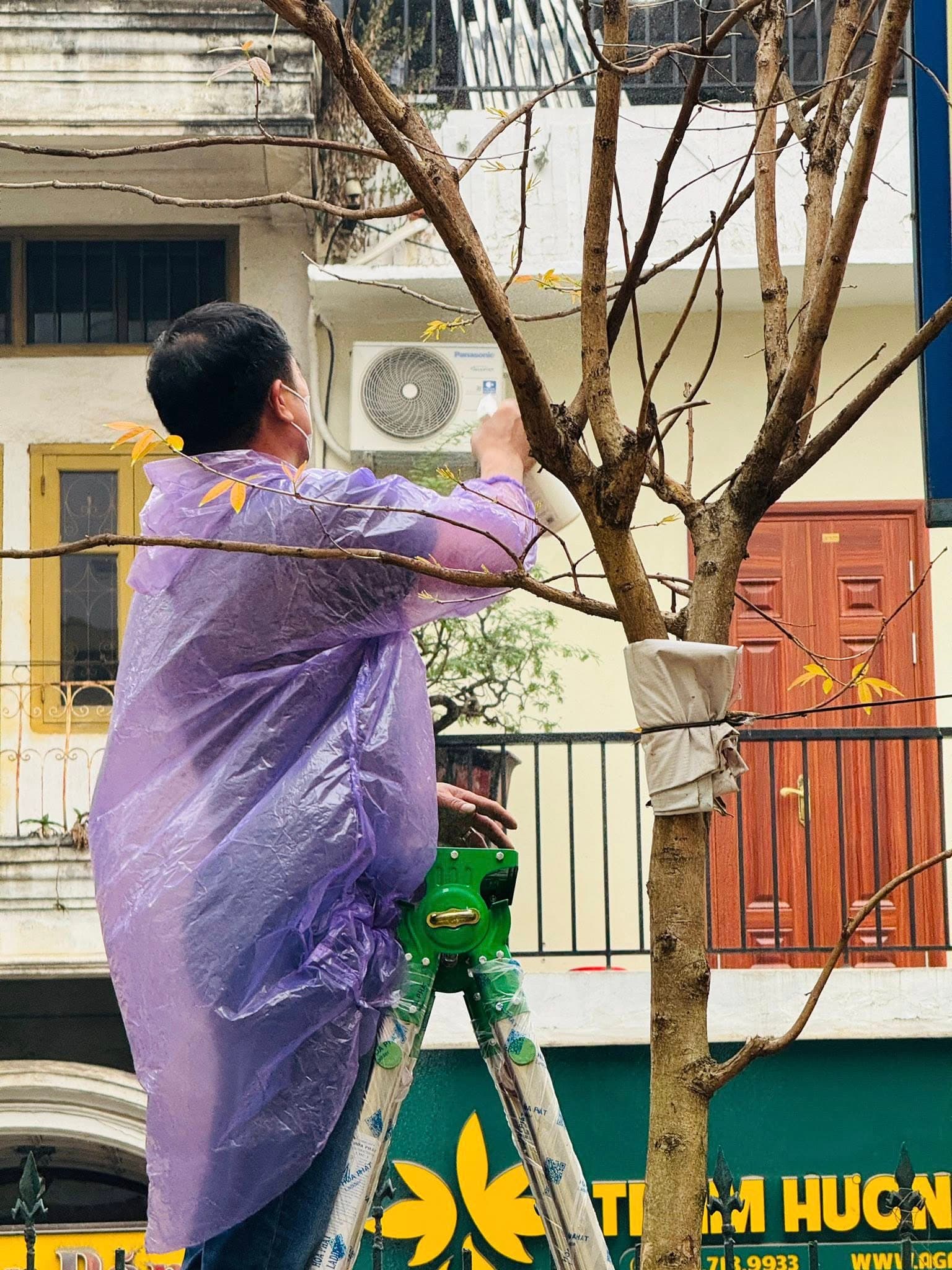 Tết trồng cây – Đời đời nhớ ơn Bác Hồ